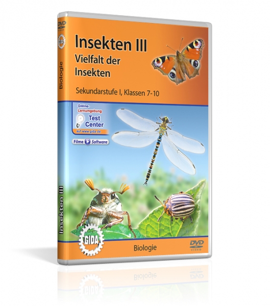 Insekten III - Vielfalt der Insekten