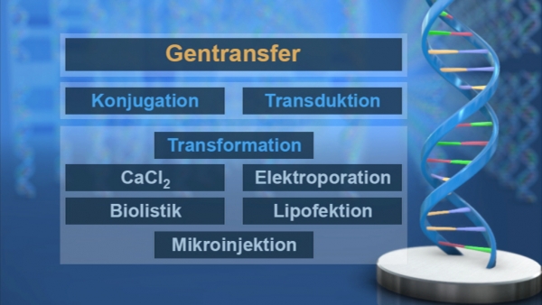 Gentechnik III - Rekombination Und Transfer | Filme | Biologie ...