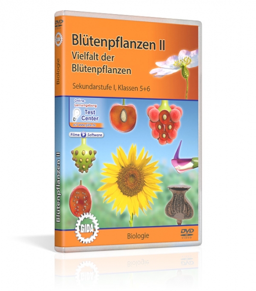 Blütenpflanzen II - Vielfalt der Blütenpflanzen