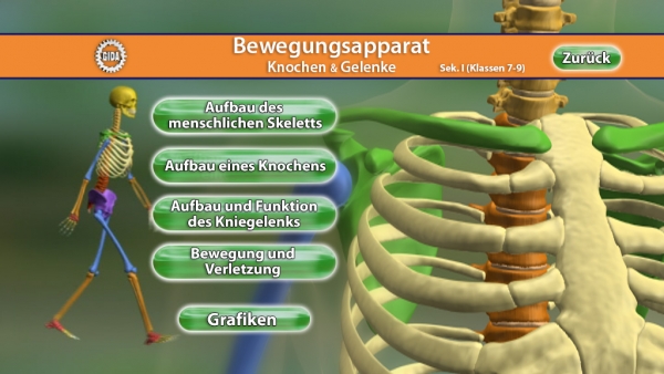 Bewegungsapparat - Knochen & Gelenke | Filme | Biologie | Fachbereiche ...