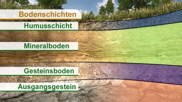 Bodenkunde | Filme | Geographie | Fachbereiche | GIDA